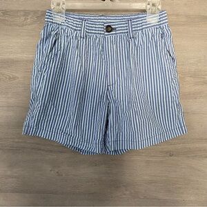 Chubbies 5.5” Shorts Striped